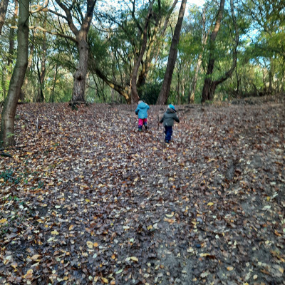 Wald